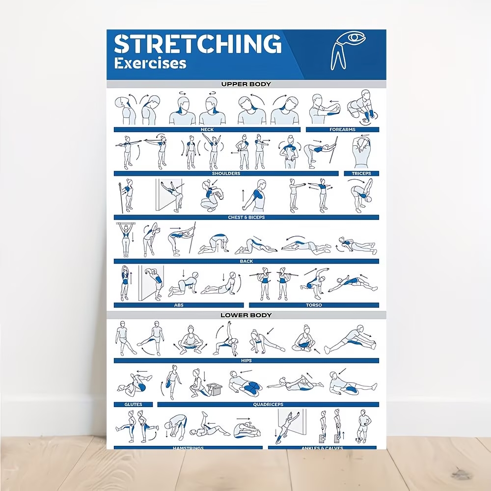 Interior Design Living Room - Modern Labeled Full-Body Stretches For Gym